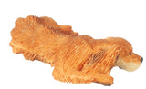 Cocker Spaniel, Buff, Sleeping