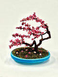 Eastern Redbud Bonsai Tree