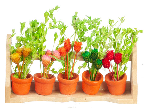 Flower Box with Wild Flowers