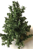 Christmas Tree Kit