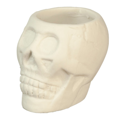 Skull Planter