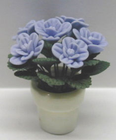 Blue Roses in White Pot