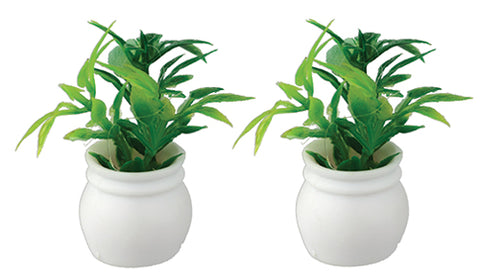 Plants, Set of Two, Green