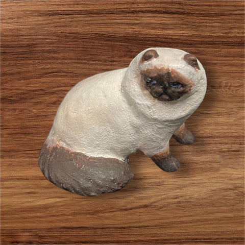 Himalayan Siamese, Sitting, by Karl Blindheim