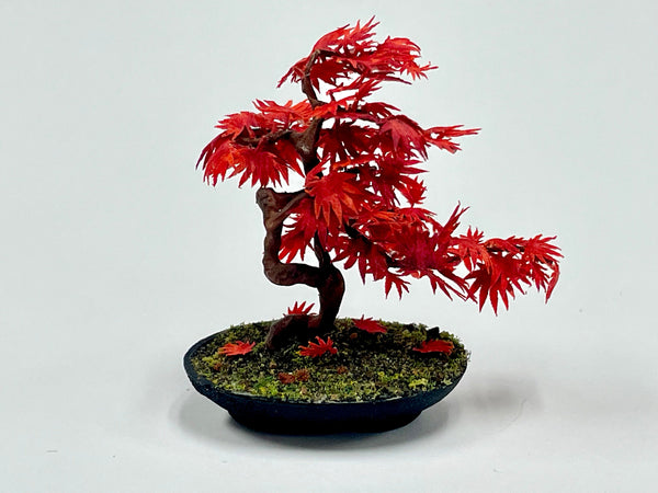 red maple tree bonsai Japanese Red Maple Bonsai Tree – Dollhouse Junction