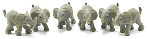 Elephant , Sold Individually