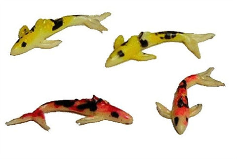 Japanese Koi