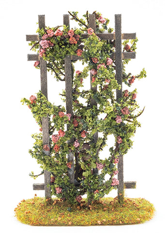 Trellis, Pink Rose