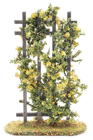 Trellis, Yellow Rose