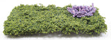 Wisteria Vine Kit