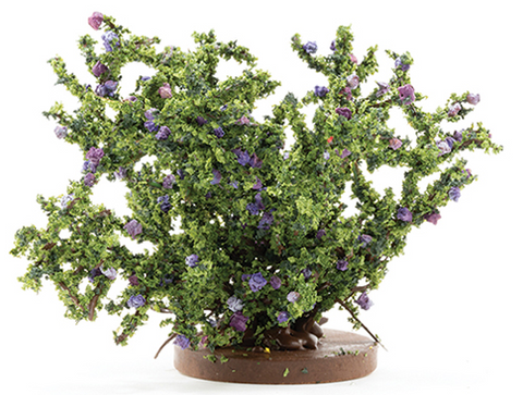Rose Bush, Large, Purple