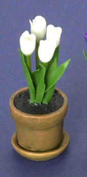 Small Pot of White Tulips