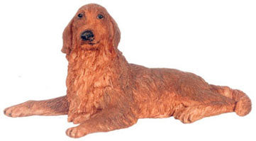 Brown Irish Setter