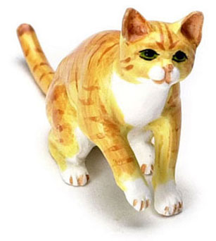 Orange Cat with one Paw Up