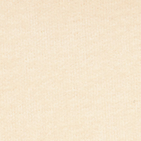 Taupe Carpeting