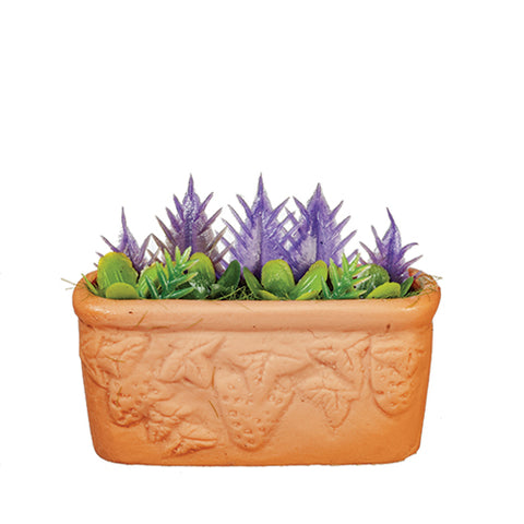 Plants in Oval Planter
