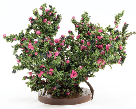 Rose Bush, Large, Hot Pink