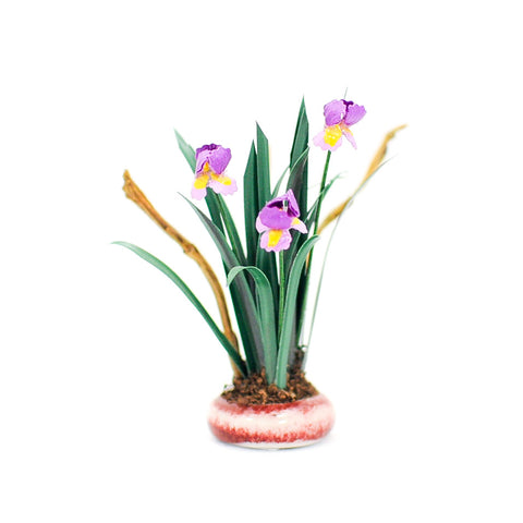 Purple Iris Arrangement