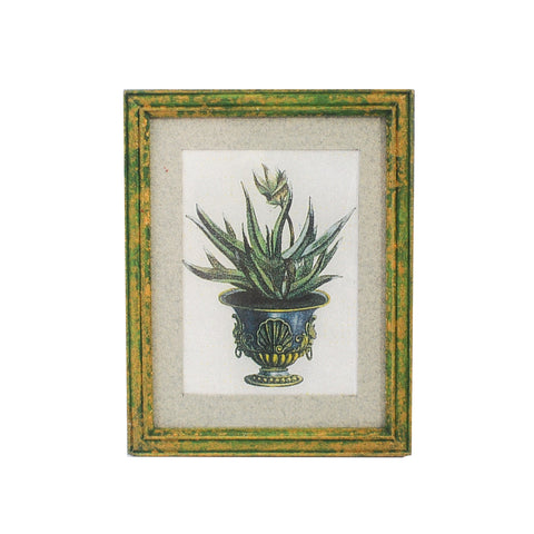 Framed Flower in Urn Print