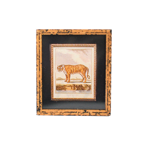 Framed and Matted Print, Tiger