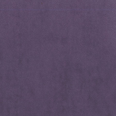 Lilac Carpeting