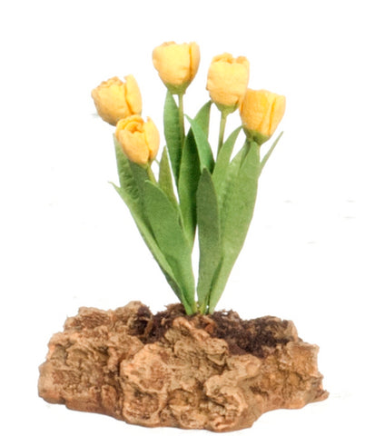 Yellow Tulips Planted in a Rock