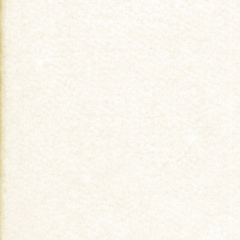 Cream Carpeting