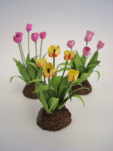 Tulips, Set of Three in Dirt