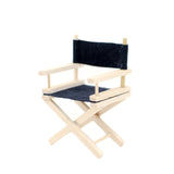 Director's Chair