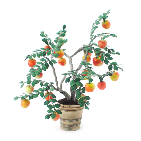 Potted Apple Tree