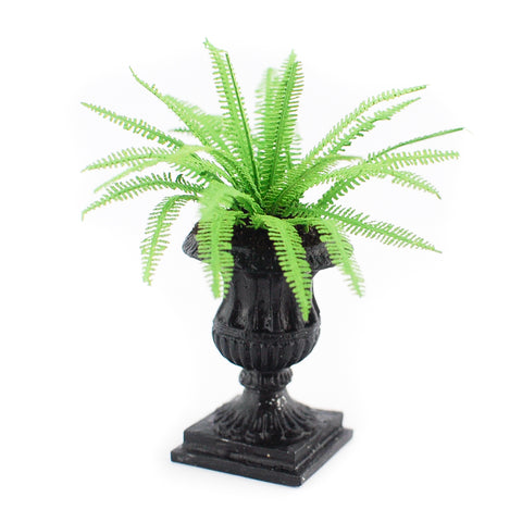 Boston Fern in Black Urn