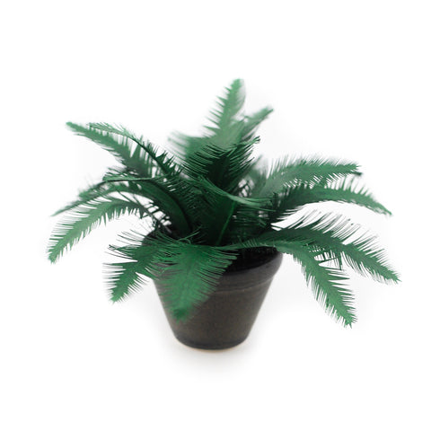 Potted Palm, Large Black Planter