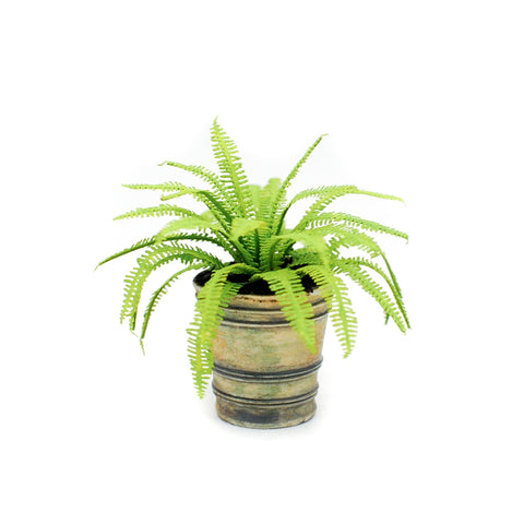 Planter with Fern by Paula Gilhooley