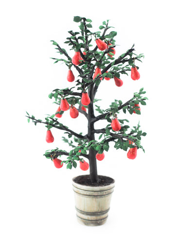 Red Pear Tree