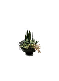Tropical Planter, Assorted