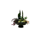Tropical Planter, Assorted