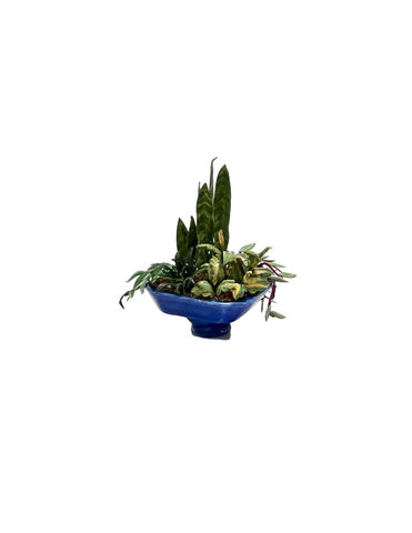 Tropical Planter, Assorted