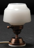 Ceiling Fixture, Frosted Globe and Bronze