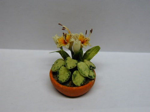 Tiger Lily Plant