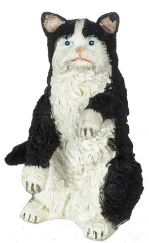 Persian Black and White Cat, Standing on Hind Legs, LIMITED STOCK