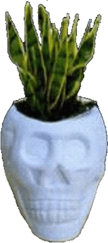 Skull Planter with Twisted Sister Plant – Dollhouse Junction
