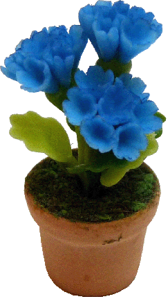 Blue Phlox