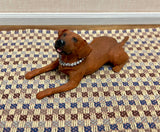 Laborador, Brown, with Collar