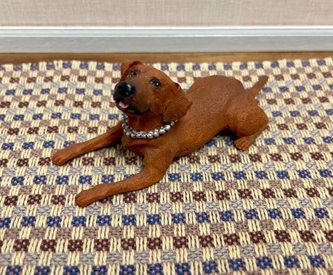 Laborador, Brown, with Collar