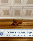 Laborador, Brown, with Collar