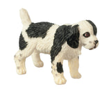 Spaniel Puppy, Black and White