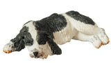 English Springer Spaniel, Sleeping