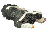 English Springer Spaniel, Sleeping