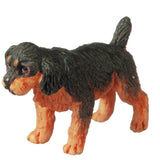 Spaniel Puppy, Black and Tan