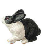 Pet Rabbit, Black and White